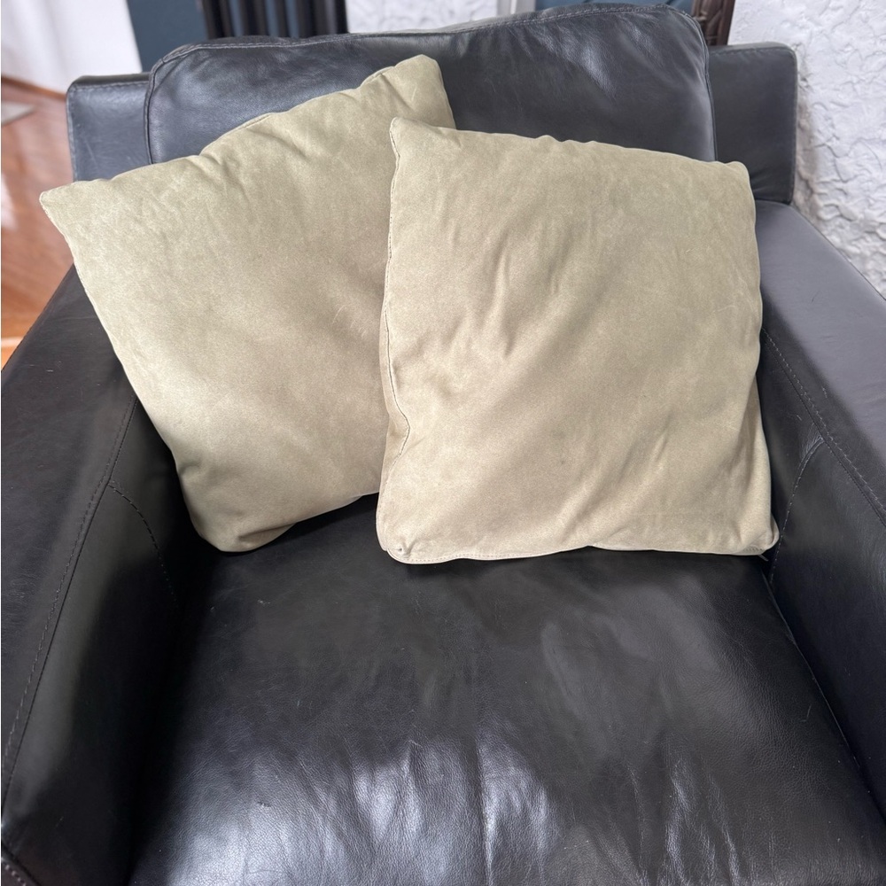 Elegant sage green Throw Pillows set of 2